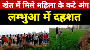 lambhua News खेत में मिले महिला के कटे अंग, लम्भुआ में दहशत #upnews #lambhuaexpress #lambhuanews