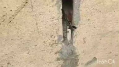 देऊळगाव राजा: देऊळघाट जिल्हा परिषद शाळेत चोरी व तोडफोड; सुमारे ४० हजारांचे शासकीय नुकसान