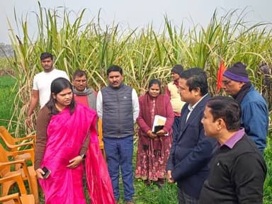 प्रेस विज्ञप्ति
दिनांक-31.01.2026
जिला जन-संपर्क कार्यालय, शिवहर।
आज दिनांक 31/01/2026 को श्रीमती प्रतिभा रानी, जिला पद...