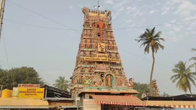 திருவள்ளூர்: சிறுவாபுரி முருகன் திருக்கோயிலில் தைப்பூச திருவிழாவை முன்னிட்டு பக்தர்கள் கூட்டம் அலைமோதியது.