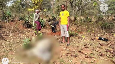 ରାସଗୋବିନ୍ଦପୁର: ବଜବଜିଆରେ ୧୨ରୁ ଉର୍ଦ୍ଧ୍ୱ ଗୋରୁଗାଈଙ୍କ ମୃତ୍ୟୁ ପରେ ଡାକ୍ତରୀଟିମ ସହିତ ବଡଜାମବଣି ଗାଁରେ ପହଞ୍ଚିଲେ ଜିଲ୍ଲାମୁଖ୍ୟ ପ୍ରାଣୀ ଚିକିତ୍ସାଧିକାରୀ