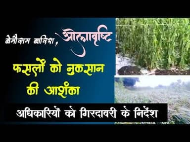 ओलावृष्टि से नष्ट फसलों की नुकसानी की आशंका | अधिकारियों को गिरदावरी के निर्देश #weather #todaynews