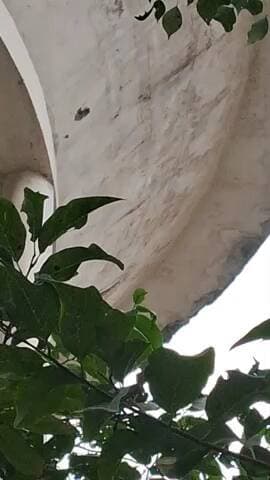 दानिश कुंज कोलार रोड भोपाल डी.के. 1 पार्क में जर्जर पानी की टंकी तुड़वाने के लिए एवं पार्क में लाइट , वाकिंग ट्रैक , बैठने के लिए बैंच , पानी का कनेक्शन पौधों में पानी देने के लिए , बच्चों के लिए झूले लगवाने की मांग आज आम आदमी