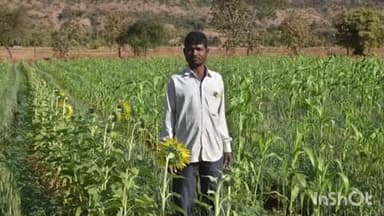 વઘઇ: સુબીર તાલુકાના બિબુપાડા ગામના પ્રગતિશીલ ખેડૂત ગમનભાઇ ઠાકરેનો પ્રાકૃતિક ખેતીનો અનોખો અભિગમ