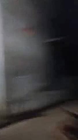 #Gram khuranpur ke #chhote se gaon# mein kutton , ne nikalna kiya , thisbar# video #teji se viral hu# kai kutton ne ke #