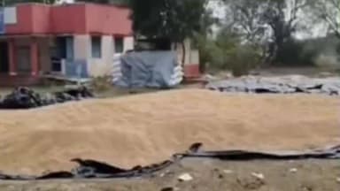 விக்கிரவாண்டி: காணை கிராமத்தில் உள்ள நேரடி நெல் நிலையத்தை திறக்கப்படாததால் விவசாயிகள் வேதனை