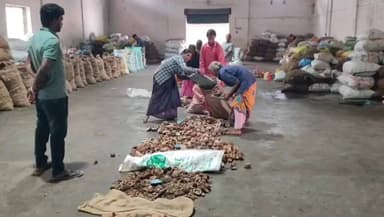 போச்சம்பள்ளி: யில் வேளாண்மை கூட்டுறவு விற்பனை சங்கத்தில் கொப்பரை தேங்காய் கொள்முதல் துவக்கம் –10 டன் கொப்பரை தேங்காய் விற்பனை