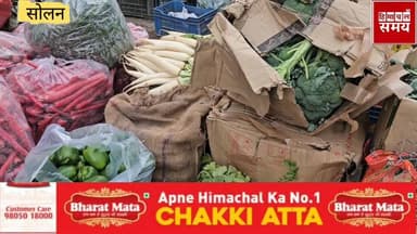 2 फरवरी को हिमाचल की सोलन सब्जी मंडी में भाव
हिमाचल समय - Himachal Samay Media #vikrmadityesingh #educationalcontent #he...