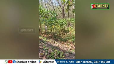 മംഗലംഡാം ഓടൻതോട്ടിൽ കടുവാ സാന്നിധ്യം വ്യാപകമാകുന്നു മംഗലം ഡാം ചടച്ചി കുന്നിലുംകടുവയെ കണ്ടതായി നാട്ടുകാർ
വാട്സ്ആപ്പ് ഗ്...