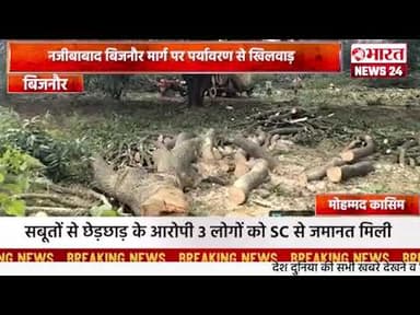नजीबाबाद बिजनौर मार्ग पर पर्यावरण से खिलवाड़।बिजनौर#bharatnews24x7 @Bharattnews24