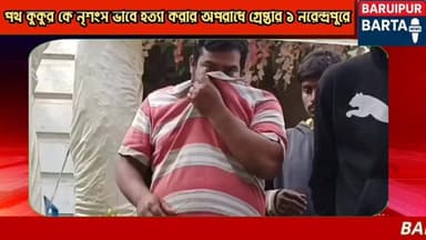 পথ কুকুর কে নৃশংস ভাবে মাথা থেঁতলে হত্যা করার অপরাধে গ্রেপ্তার ১ নরেন্দ্রপুরে
Baruipur Barta চ্যানেলটি নিয়মিত দেখতে অব...