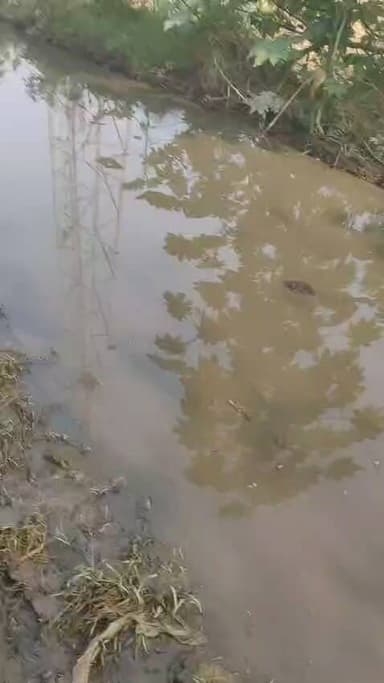 कटका में रास्ते पर स्विमिंग पूल