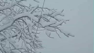 कल्पा: किन्नौर में बर्फबारी का दौर जारी, दर्जनों सड़कें अवरुद्ध होने की सूचना मिली