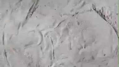 नांगल चौधरी: नांगल चौधरी में तेंदुए का आतंक, दताल गांव में घर में घुसने का दावा