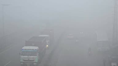 ठंड से बेहाल #dholpur #dholpur_rajasthan #DholpurNews #highlightseveryone #followerseveryone #highlightseveryonefollower...