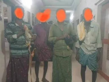 రెంటచింతలలో కోడి పందెం రాయుళ్లను అరెస్ట్ చేసిన పోలీసులు