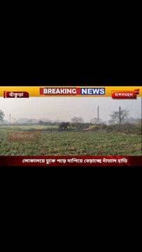 মুড়াকাটা, কাঁঠালাঘাটা, রাধাবাজার ও রামপুর এলাকায় হাতির তাণ্ডবে আতঙ্ক