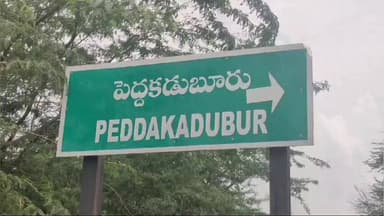 మంత్రాలయం: మంత్రాలయం : పెద్దకడుబూరు మండలం లో అప్పుల బాధలు ఎక్కువై కర్నూలు ఆసుపత్రిలో చికిత్స పొందుతూ మహిళ మృతి