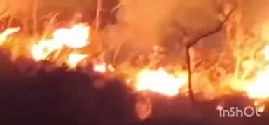 ಮೂಡಿಗೆರೆ: ಚಾರ್ಮಾಡಿ ಘಾಟಿಯಲ್ಲಿ ಕಾಡ್ಗಿಚ್ಚು, ಸುಟ್ಟು ಭಸ್ಮವಾದ ಸಸ್ಯ ಸಂಪತ್ತು