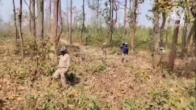 সাঁকরাইল: সাঁকরাইলে মাধ্যমিক পরীক্ষার্থীদের নিরাপত্তায় জঙ্গল লাগোয়া এলাকায় কড়া নজরদারি, তৎপর বনদপ্তর ও পুলিশ প্রশাসন