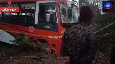 ଭାରସାମ୍ୟ ହରାଇ ଗଛରେ ପିଟିଲାହେଲା ବାଙ୍କେଶ୍ୱରୀ ନାମକ ଘରୋଇ ଯାତ୍ରୀବାହୀ ବସ୍ #newodishatv #Malkangiri #accident #Odisha #OdishaNew...