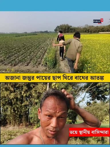 অজানা জন্তুর পায়ের ছাপ ঘিরে বাঘের আতঙ্ক ধূপগুড়ির গধেয়ারকুঠিতে