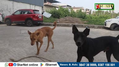 ജില്ലയിലെ തെരുവുനായ ആക്രമണം: പരിക്കേറ്റവർക്ക് പരാതികൾ അറിയിക്കാം.
വാട്സ്ആപ്പ് ഗ്രൂപ്പില് അംഗമാകുവാന്...👇🏻
https://ch...