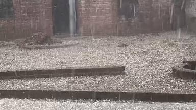 #हरदोई #बेहंदर #ब्लाक के #बिरौली में #बारिश के साथ साथ ओले गिरे और ओले गिरने से #किसानों की #फसलें #बर्बाद अब क्या करेग...