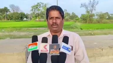 வாலாஜா: நாவல்பூர் பகுதியில் 60 ஆண்டுகள் பழமை வாய்ந்த அரச மரத்தை நெடுஞ்சாலை பணிகளுக்காக அகற்றப்பட்ட மரத்திற்கு மறு உயிர் கொடுத்த சமூக ஆர்வலர்