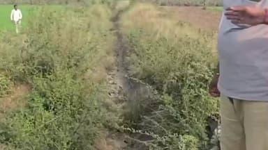 તિલકવાડા: જરૂર પડશે તો નર્મદા મેન કેનલ ને પણ બંધ કરશું અને નર્મદા નિગમ ઘેરાવ કરીશુ : aap પ્રમુખ નિરંજન વસાવા ની ચીમકી.