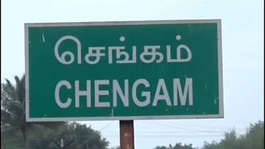திருவண்ணாமலை: செங்கம் நகராட்சியில் நாய்கள் தொல்லையால் பொதுமக்கள் அச்சம்