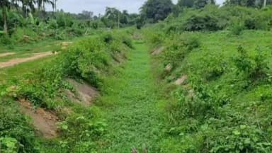 ಹಾಸನ: ಪಾಳು ಬಿದ್ದ ನೂರು ಕಿಲೋಮೀಟರ್ ಉದ್ದದ ಯಗಚಿ ಮುಖ್ಯನಾಲೆ ಜಮೀನುಗಳಿಗೆ ನೀರಿಲ್ಲದೆ ರೈತರ ಪರದಾಟ