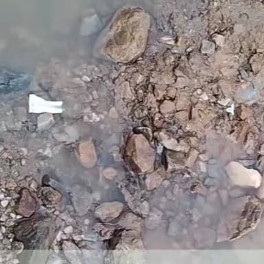 मालाखेड़ा: अकबरपुर–अहमदपुर मार्ग पर जगह-जगह फैली गंदगी से राहगीरों को हो रही भारी परेशानी #jansamasya