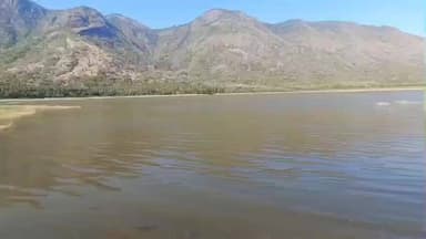 நிலக்கோட்டை: "மருதாநதி அணையில் 2 லட்சம் மீன் குஞ்சுகள் விடுப்பு: 8 மாதங்களில் 800 கிராம் வரை வளரும் ஜாக்பாட் மீன்கள்!"