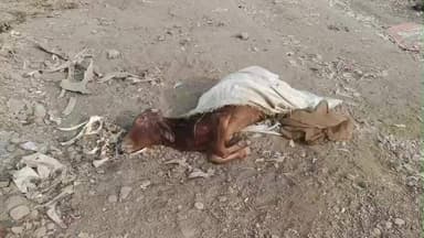 अंजड़: अंजड के सिंगणबारी क्षेत्र में खुले में फेंके जा रहे मृत मवेशी और मुर्गियों के अवशेष, लोगों ने की कार्रवाई की मांग