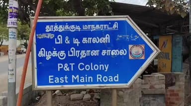 தூத்துக்குடி: பிஎன்டி காலனி பகுதியில் சுமார் 60 ஆண்டுகள் பழமையான ஆலமரத்தை வனத்துறை அனுமதி இல்லாமல் மாநகராட்சி ஊழியர்கள் வெட்டிய சம்பவத்தால் பரபரப்பு