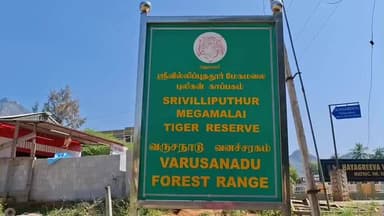 ஆண்டிப்பட்டி: மேகமலை புலிகள் சர ணாலய பகுதியில் சட்டவி ரோதமாக துப்பாக்கி வை த்திருப்பவர்கள் வரும் 15 ம் தேதிக்குள்வனதுறையி டம் ஒப்படைக்கஅறிவிப்பு