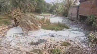 ভাঙড় ১: লেদার কমপ্লেক্সের দূষিত জল খালের মধ্য দিয়ে গ্রামে ঢুকে দুর্বিসহ গ্রামের মানুষের দৈনন্দিন জীবন
#breakingnews