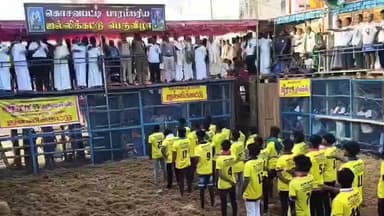 நத்தம்: கொசவபட்டியில் ஜல்லிக்கட்டு போட்டி தொடங்கியது -உணவு மற்றும் உணவுப் பொருள் வழங்கல் துறை அமைச்சர் சக்கரபாணி தொடங்கி வைத்தார்