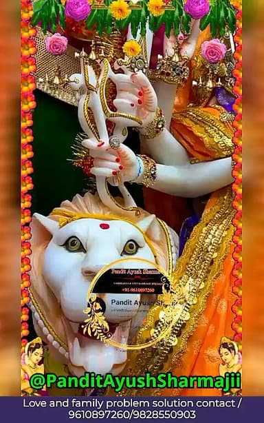 Love and family problem solution contact 9610897260/9828550903