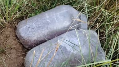 मोहाडी: गोबरवाही पोलिसांची मोठी कारवाई; हिरापूर हमेशा येथून २१० किलो मोहफास सडवा जप्त