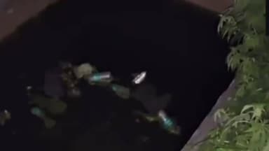 ਫਗਵਾੜਾ: ਖੋਥੜਾ ਰੋਡ ਤੇ ਗਟਰ ਵਿੱਚ ਡਿੱਗਣ ਕਾਰਨ ਇੱਕ ਮਾਸੂਮ ਬੱਚੇ ਦੀ ਹੋਈ ਮੌਤ