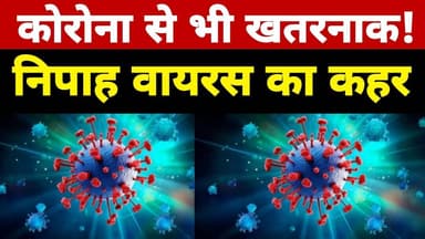 कोरोना से भी ज्यादा खतरनाक निपाह वायरस! भारत में बढ़ी चिंता जानिए लक्षण और बचाव #nipahvirus #corona