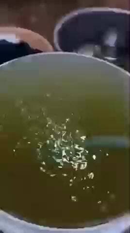 ఉండి: నగర పంచాయతీలో పైపుల నుంచి కలుషిత నీరు వస్తుందని స్థానికులు ఆరోపిస్తున్నారు