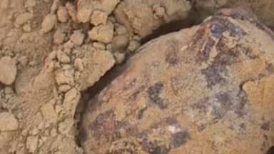 सीकर: शिकार करी को इलाके में खेत में खुदाई के दौरान हैंड ग्रेनेड मिलने से फैली सनसनी