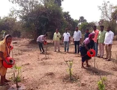 పిట్లం: రాంపూర్ కలన్ లో నర్సరీ హరితవనాలను పరిశీలించిన పిట్లం ఇంచార్జ్ ఎంపీడీవో నాగరాజు హరితవనాల అభివృద్ధిపై అధికారులకు పలుసూచనలు
