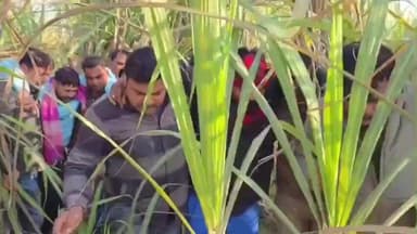 कैराना: तितरवाड़ा—डुढ़ार मार्ग पर मुठभेड़ में सहारनपुर के हिस्ट्रीशीटर समेत दो बदमाश घायल, एक ने ब्लेड से गर्दन पर किया वार