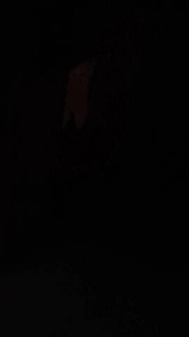 जहानाबाद जिला के : नंदपुरा गांव में एक धनेश्वर यादव है जो रास्ता रोकता है और राइफल निकलता है और कहता है कि पुलिस से मिलन