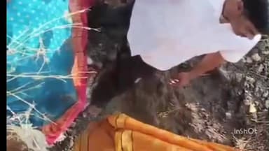 अहमदपूर: नगराध्यक्ष स्वप्निल व्हत्ते यांनी जपली माणुसकी! आजारी गोमातेच्या उपचारासाठी शर्थीचे प्रयत्न