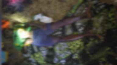 अल्बर्ट एक्का (जारी): डूमरपानी गांव में घरेलू विवाद के चलते कोरवा युवक ने फांसी लगाकर आत्महत्या की